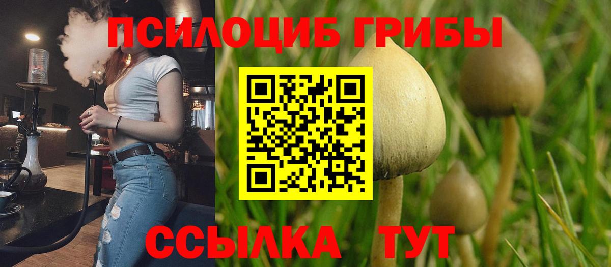 Галлюциногенные грибы мухоморы Жигулёвск