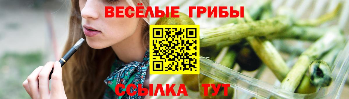 Жигулёвск  Галлюциногенные грибы мухоморы  Галлюциногенные грибы Cubensis  Вход с VPN 